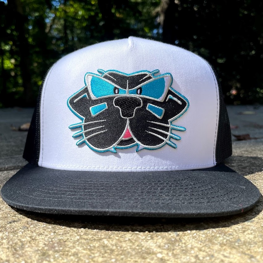 Carolina Panthers Flat Brim Hats